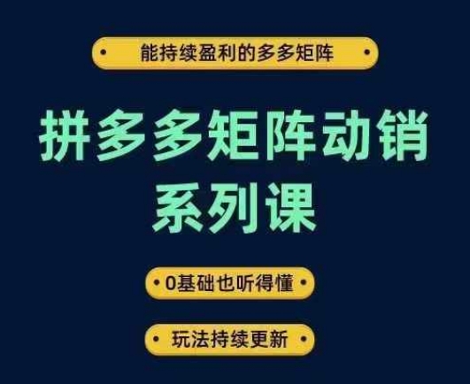 拼多多矩阵动销系列课，能持续盈利的多多矩阵，0基础也听得懂，玩法持续更新-A同城-创业课