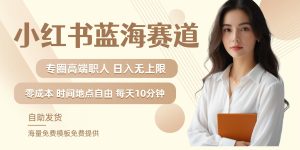 小红书蓝海赛道,圈中高端职场人,月入无上限,可矩阵,内含私域实操教程!-A同城-创业课