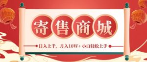 一部手机，一天几分钟，小白轻松日入上千，月入10万+，纯信息项目-A同城-创业课