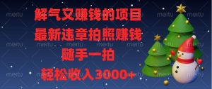 （13686期）解气又赚钱的项目，最新违章拍照赚钱，随手一拍，轻松收入3000+-A同城-创业课